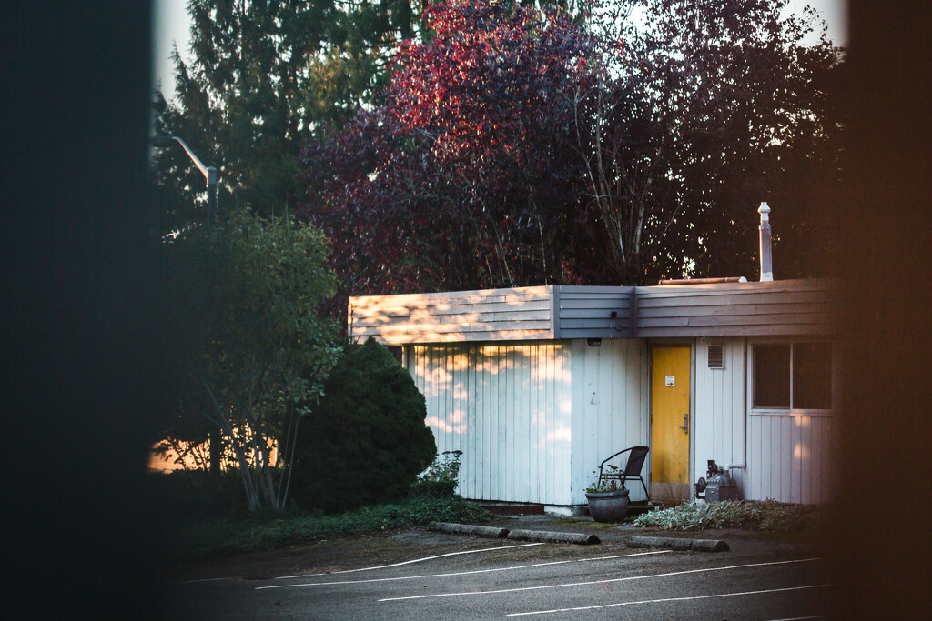 Late Light and Yellow Door by tina_mac