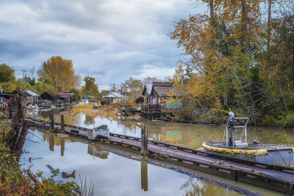 Finn Slough in Fall by cdcook48