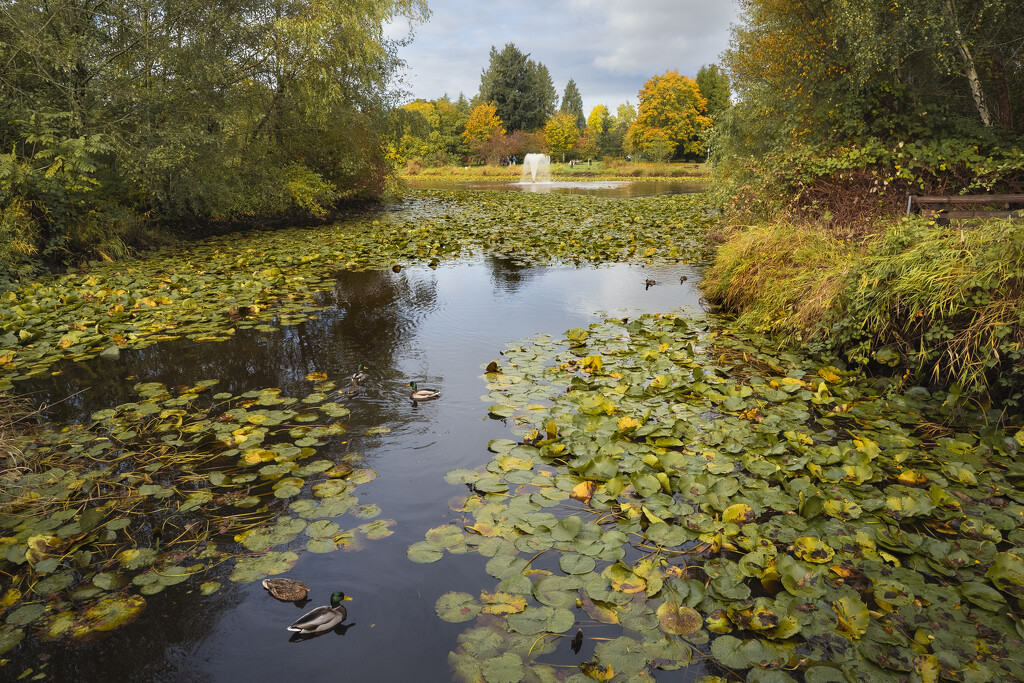 Garden City Park by cdcook48