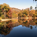 Autumn reflections