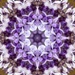 Kaleidoscope wisteria blooms... by marlboromaam