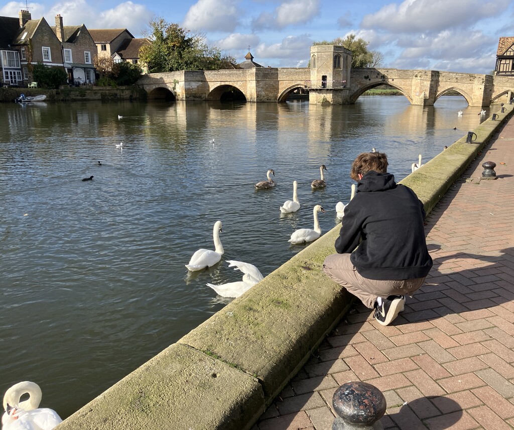 Photographing the Swans  by foxes37