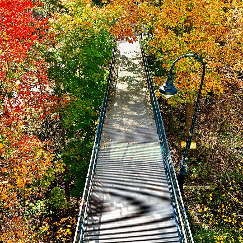 Lighted Path To Autumnland by rickaubin