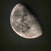 Last Quarter moon 