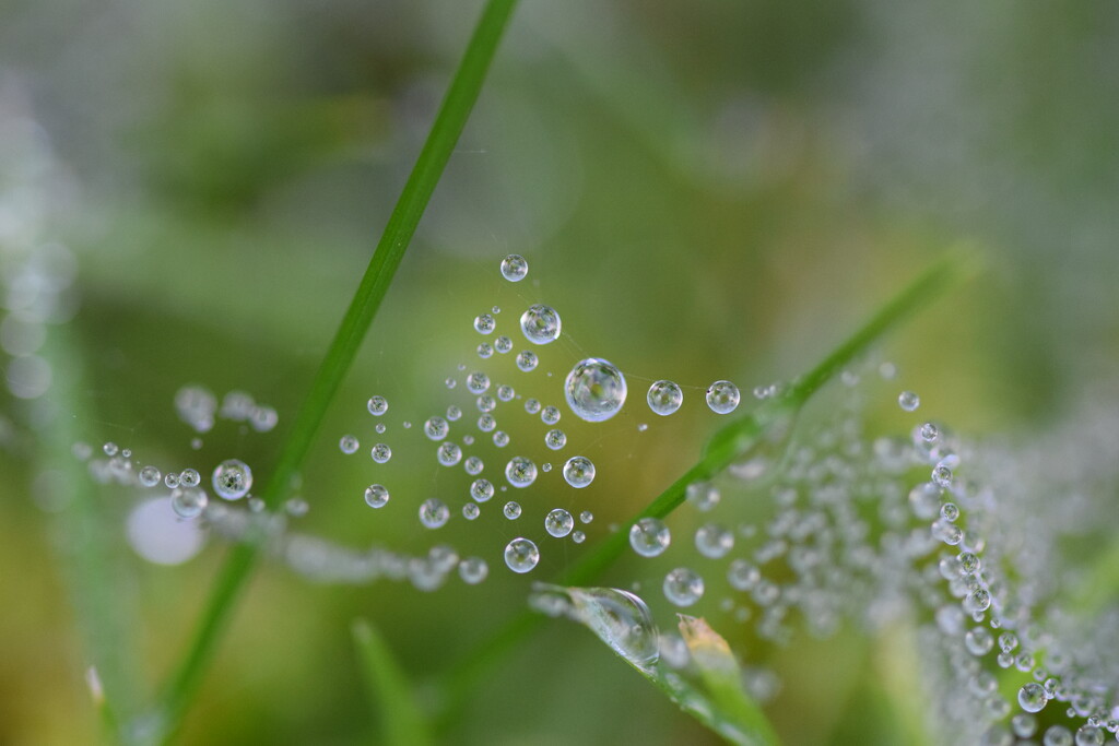 Droplets by dragey74