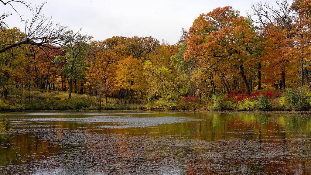 Sterling Pond by rminer