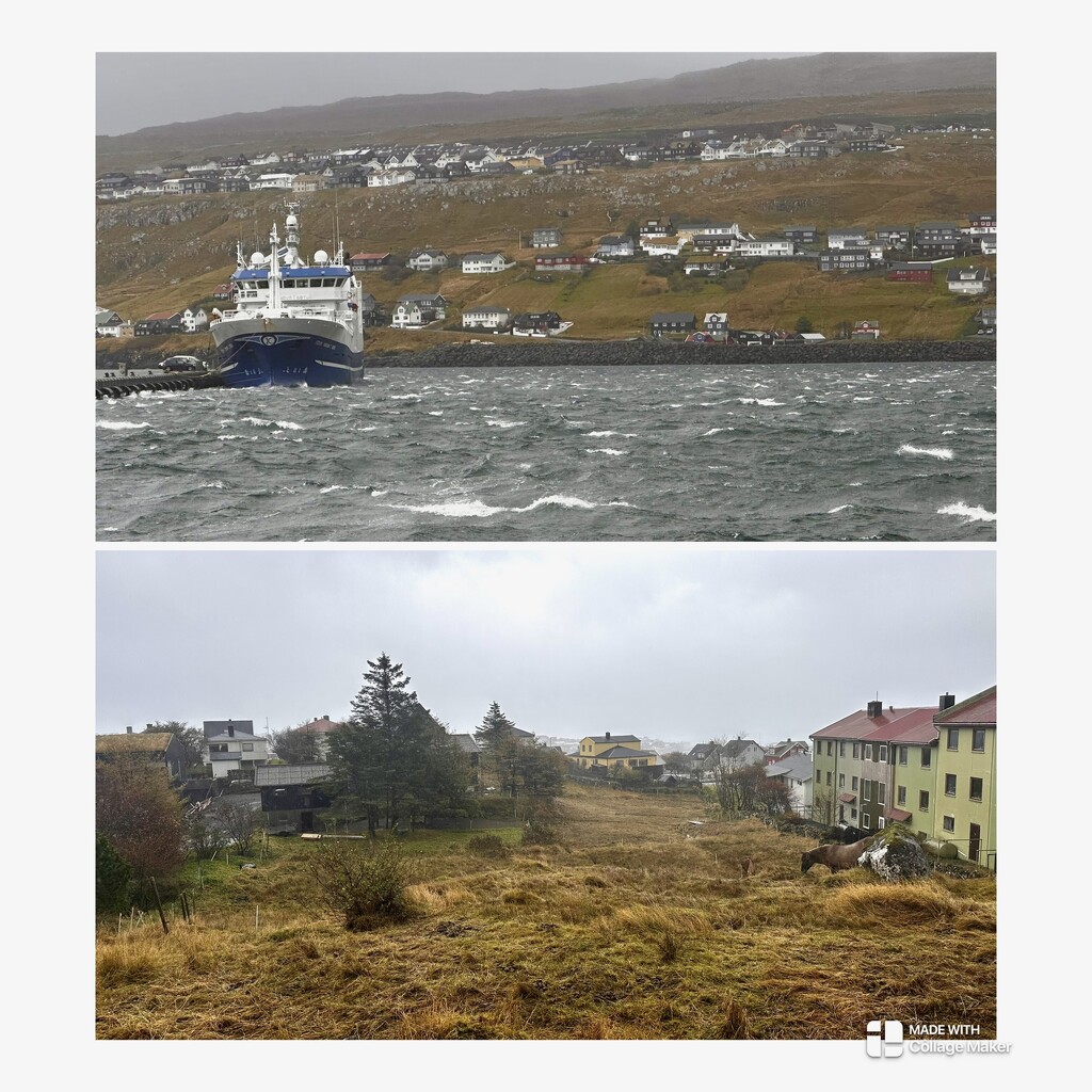 Tórshavn by mubbur