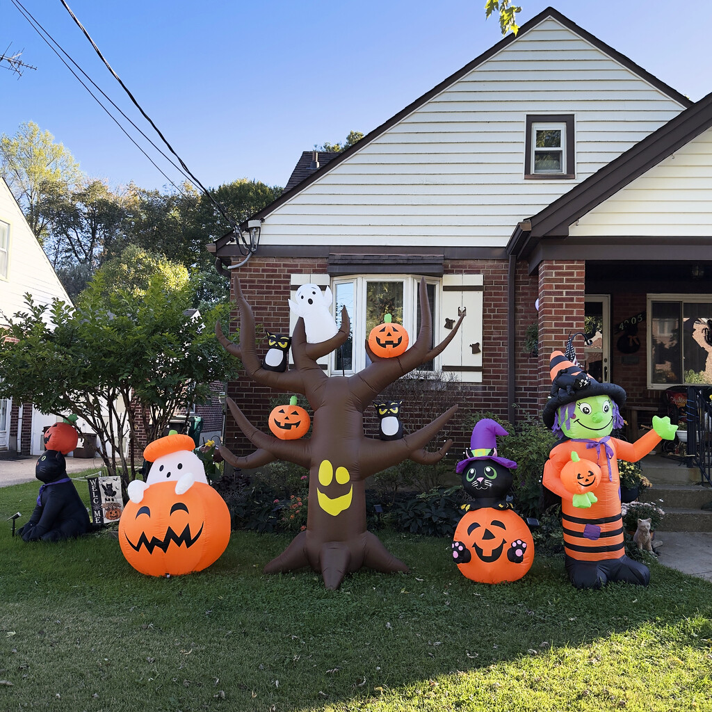 Neighborhood Halloween by yogiw