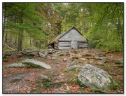 17th Oct 2024 - Cabin in Nature