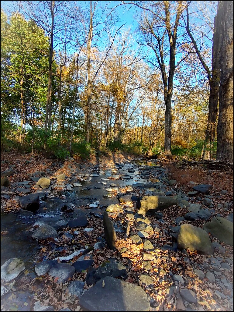 Dry Creek by olivetreeann