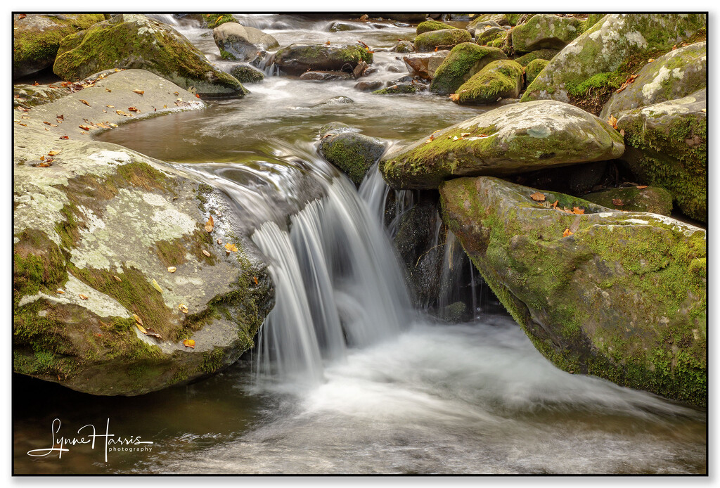 Cascades by lynne5477