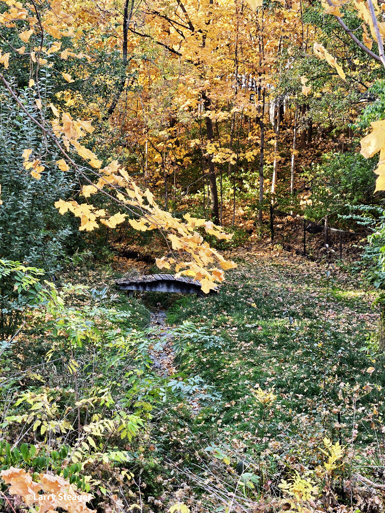 Fall by the bridge by larrysphotos