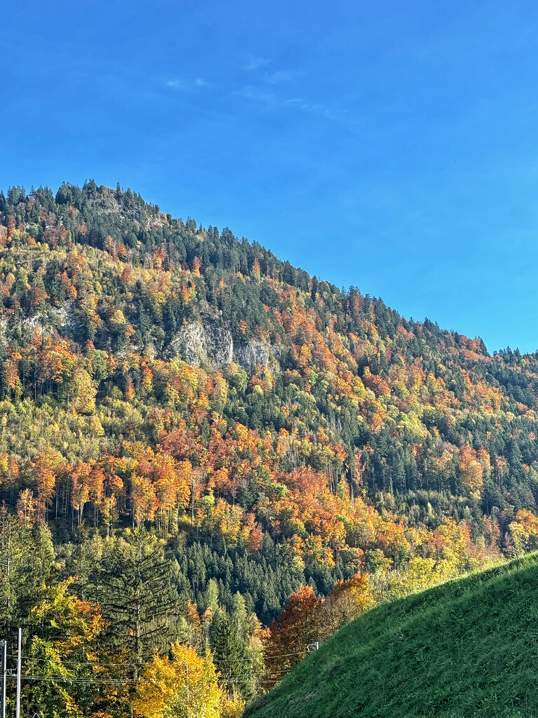 Autumn in the mountains.  by cocobella