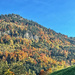 Autumn in the mountains. 