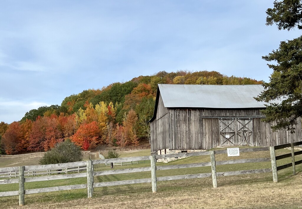 Bliss Township, Emmet County by amyk