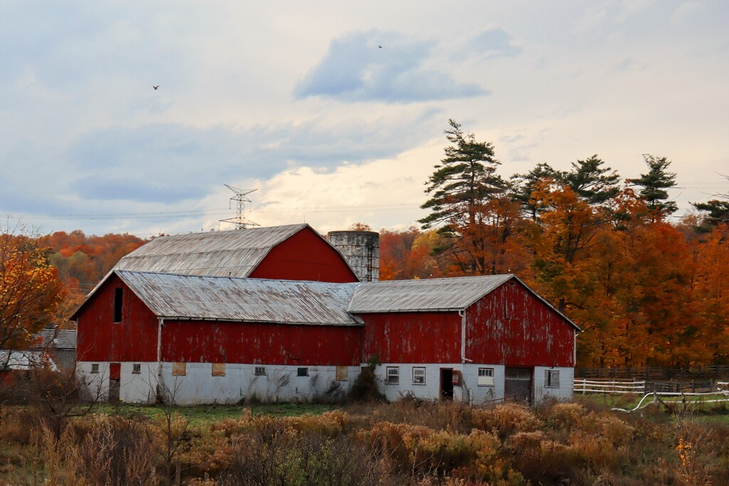 Autumn Barn by princessicajessica