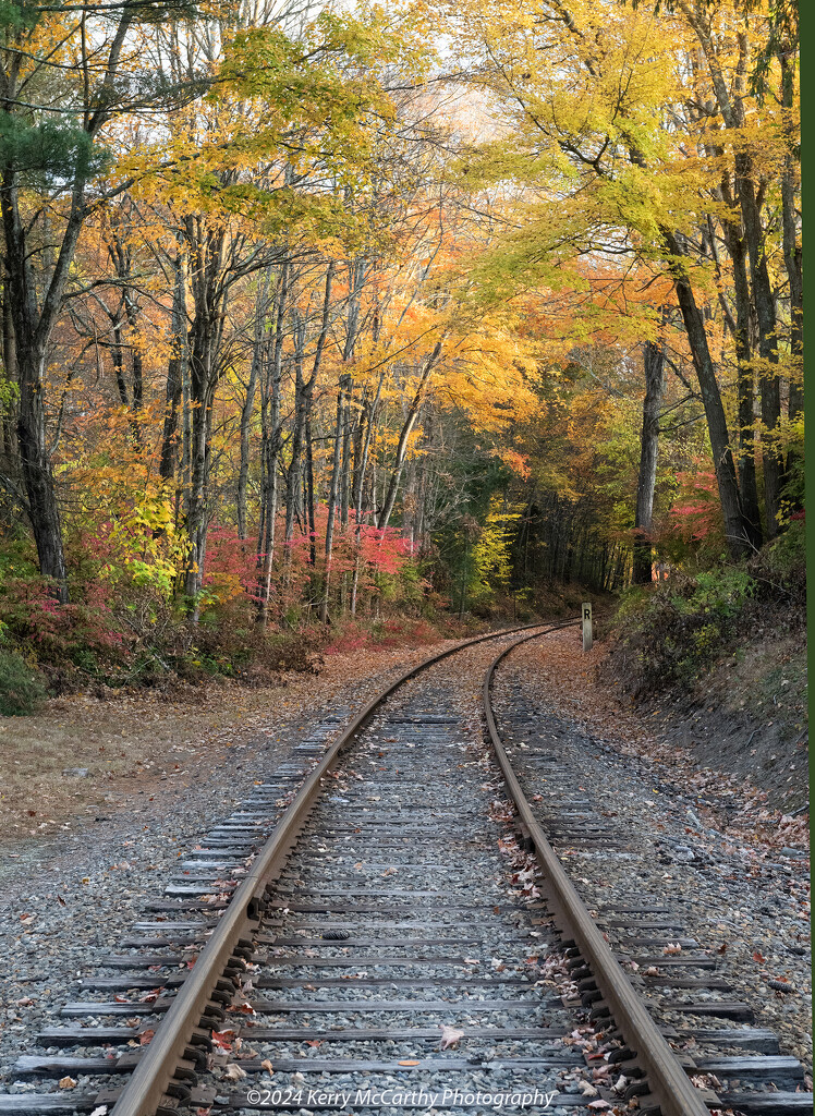 Around the bend by mccarth1