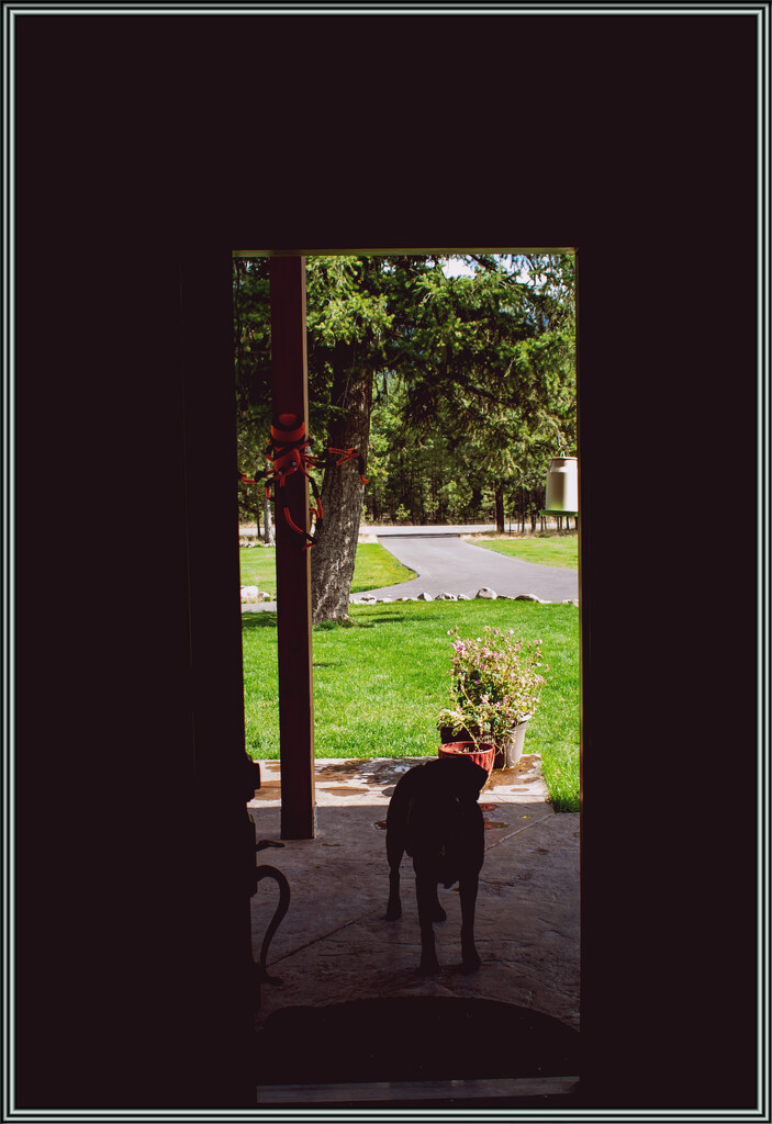 May I come in by 365projectorgchristine