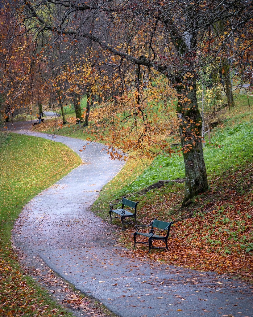 Twisty path by helstor365