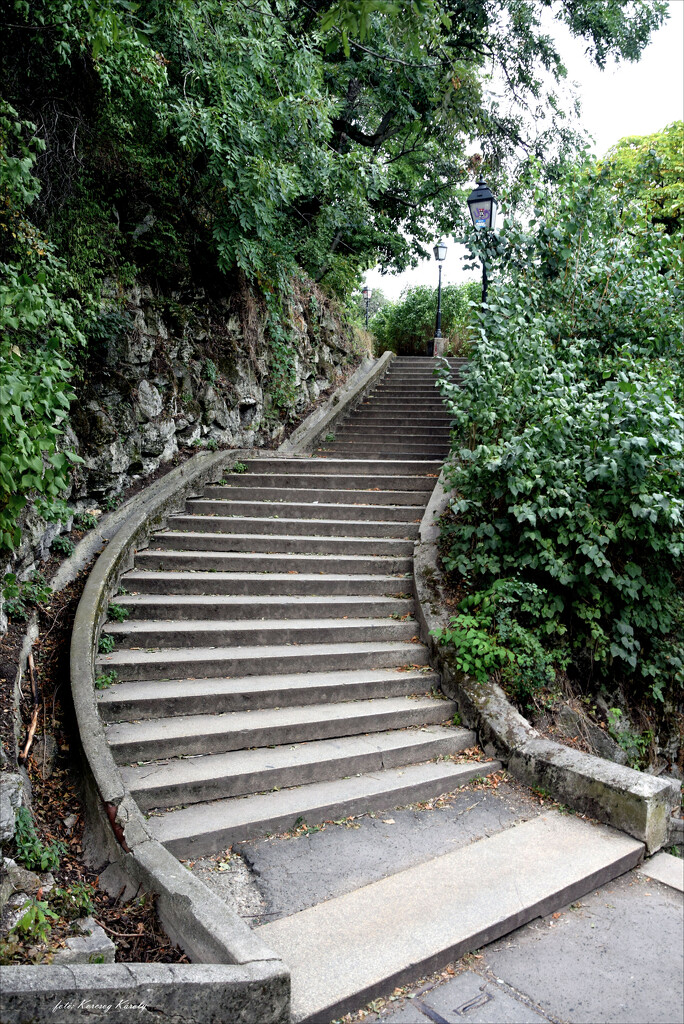 Walk on Gellért Hill by kork