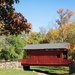 Covered bridge in a park