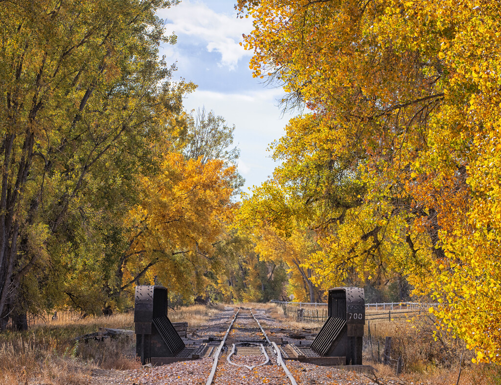 crossing by aecasey