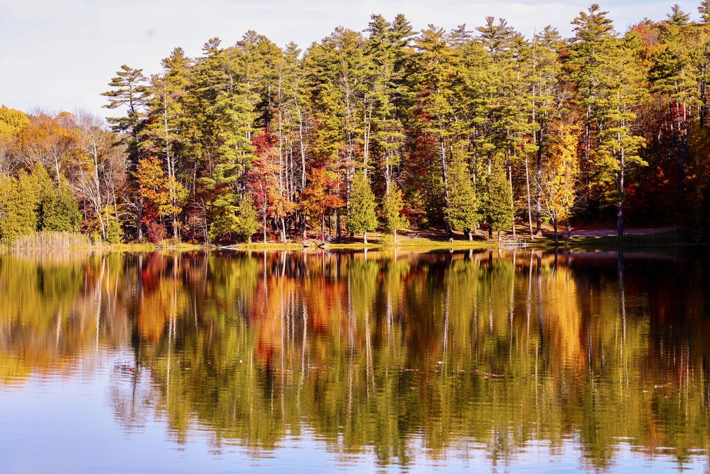 Beaver Pond by corinnec