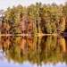 Beaver Pond by corinnec