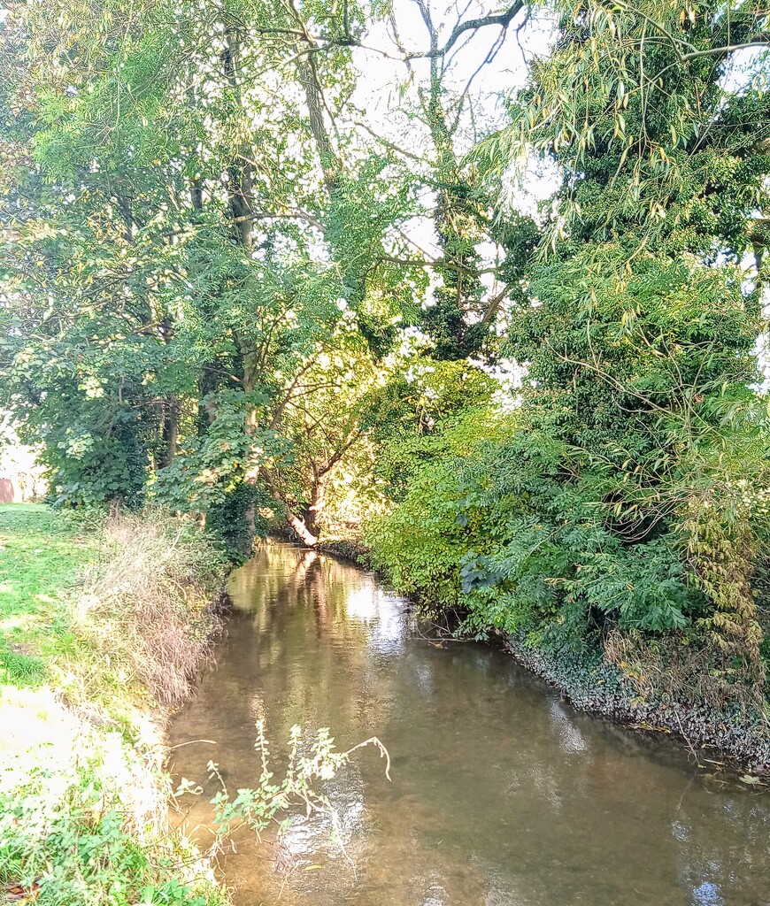 River reflections by 365projectorgjoworboys