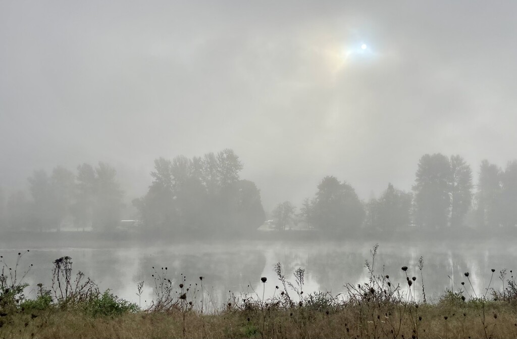 Foggy morning drive by am2584