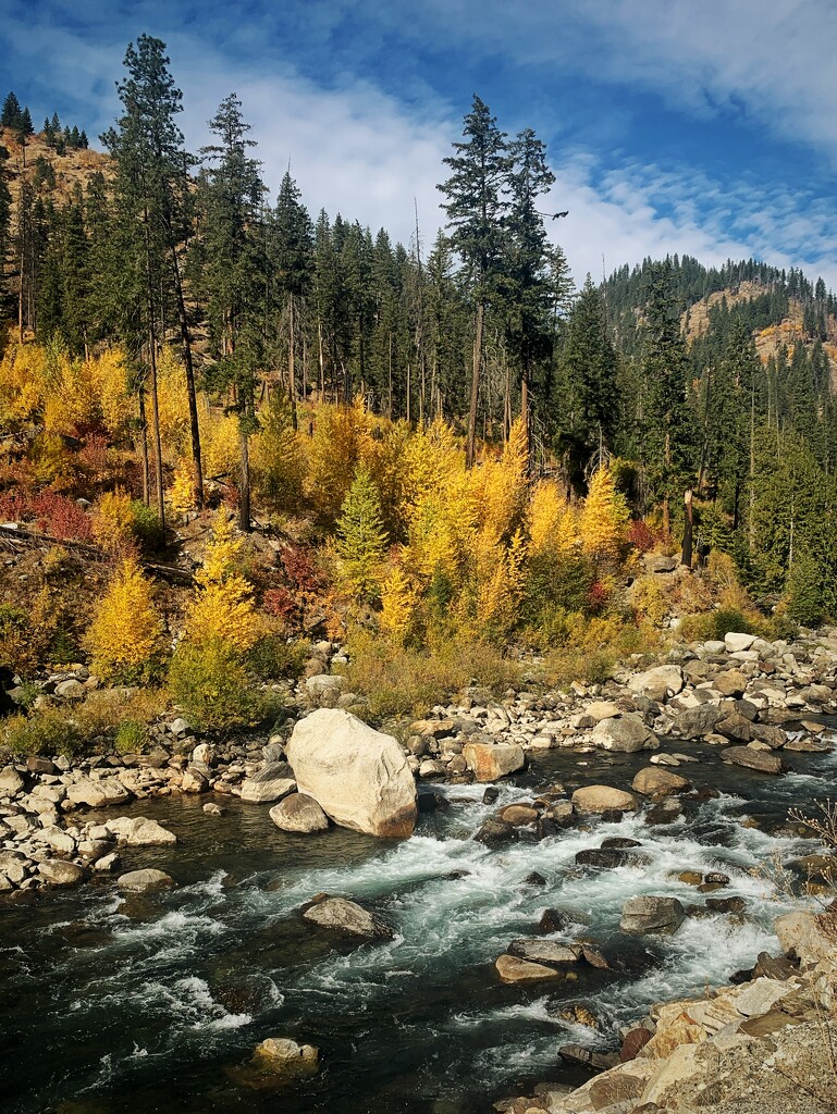 Fall Colors by kaldara