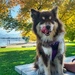 Maisy at the Park