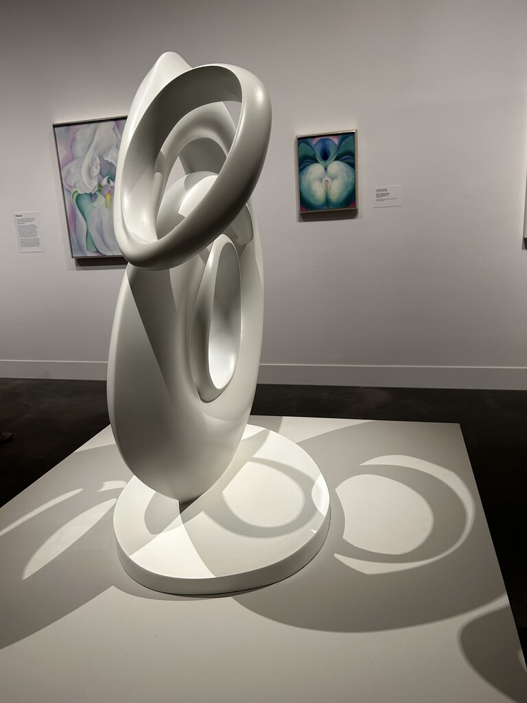 Georgia O’Keeffe at MFA, Boston by swagman