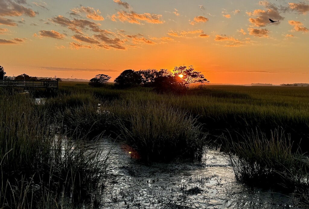 Marsh sunset by congaree