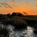 Marsh sunset