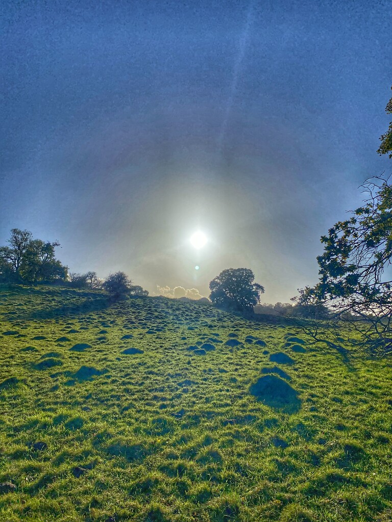 Long Shadows of Autumn  by cmf