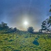 Long Shadows of Autumn 