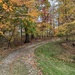 Driveway in the Fall