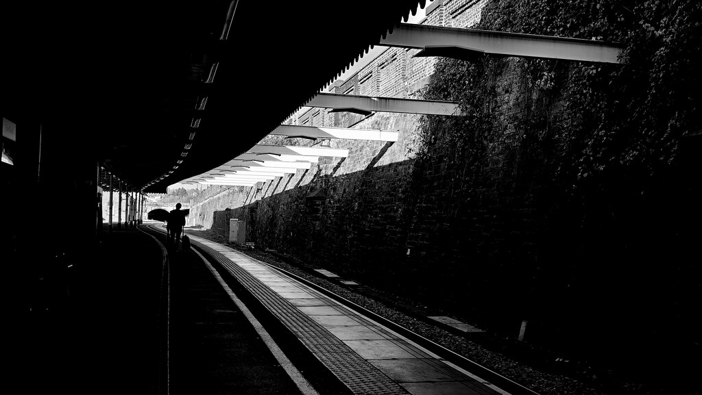 298/366 - Sheffield Station  by isaacsnek