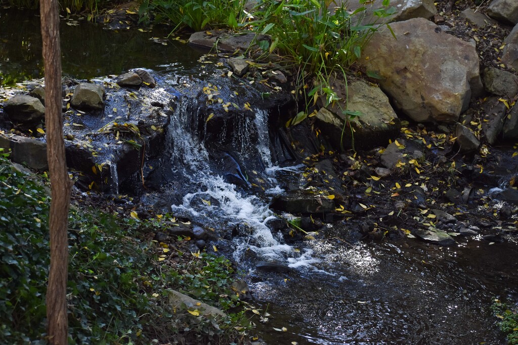 Waterfall - Creation Museum by bjywamer