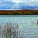 fall color across the lake