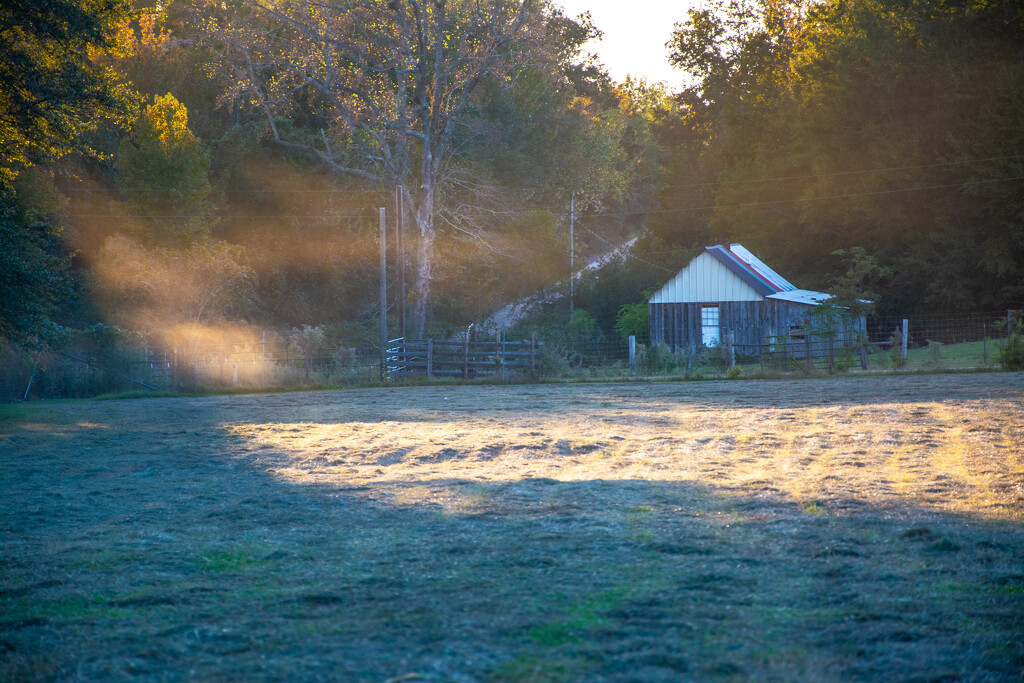 Hay on the ground... by thewatersphotos