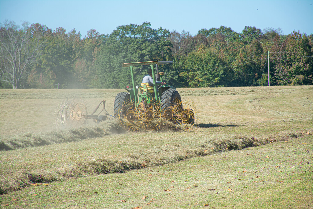 Raking the hay... by thewatersphotos