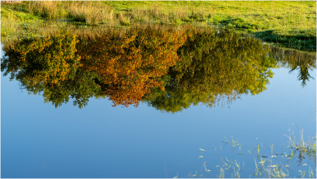 Reflection by clifford