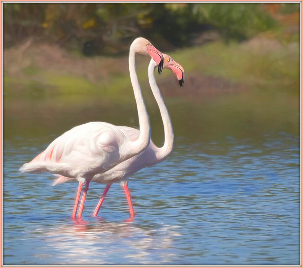 Happy Flamingo Friday by ludwigsdiana