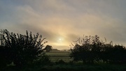 18th Oct 2024 - Misty morning 