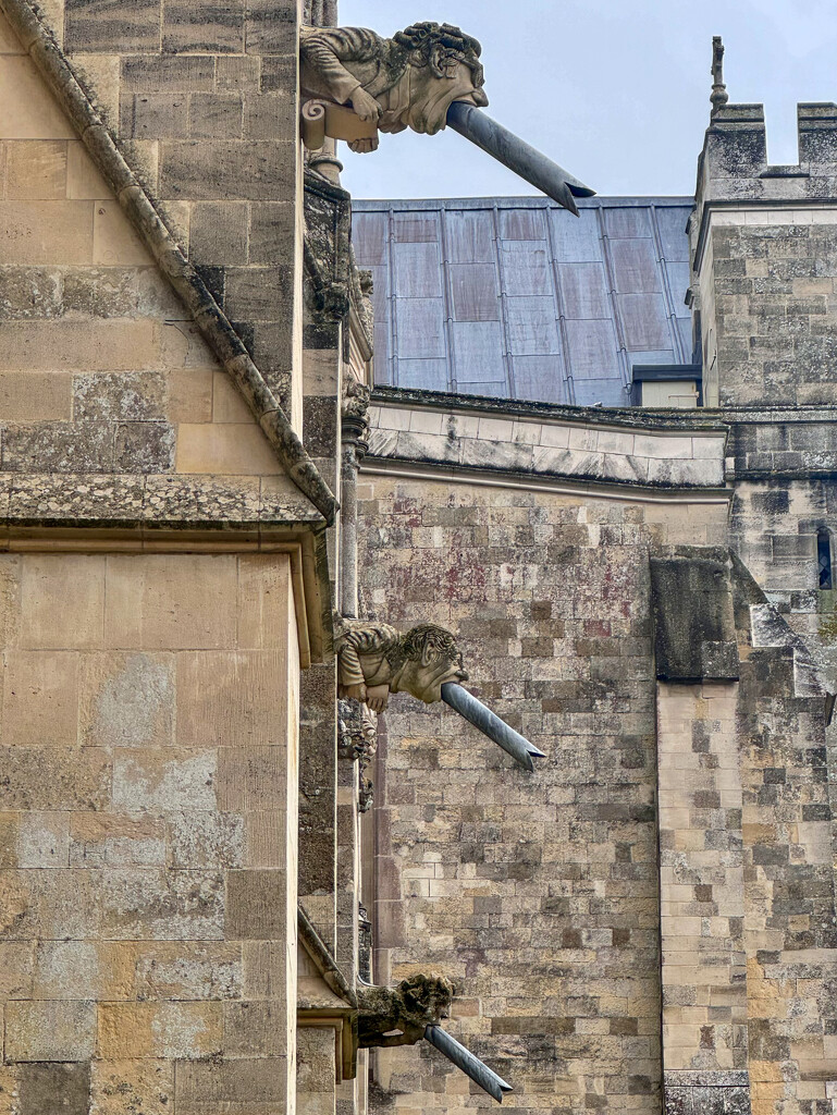 Gargoyles on the cathedral. by wakelys