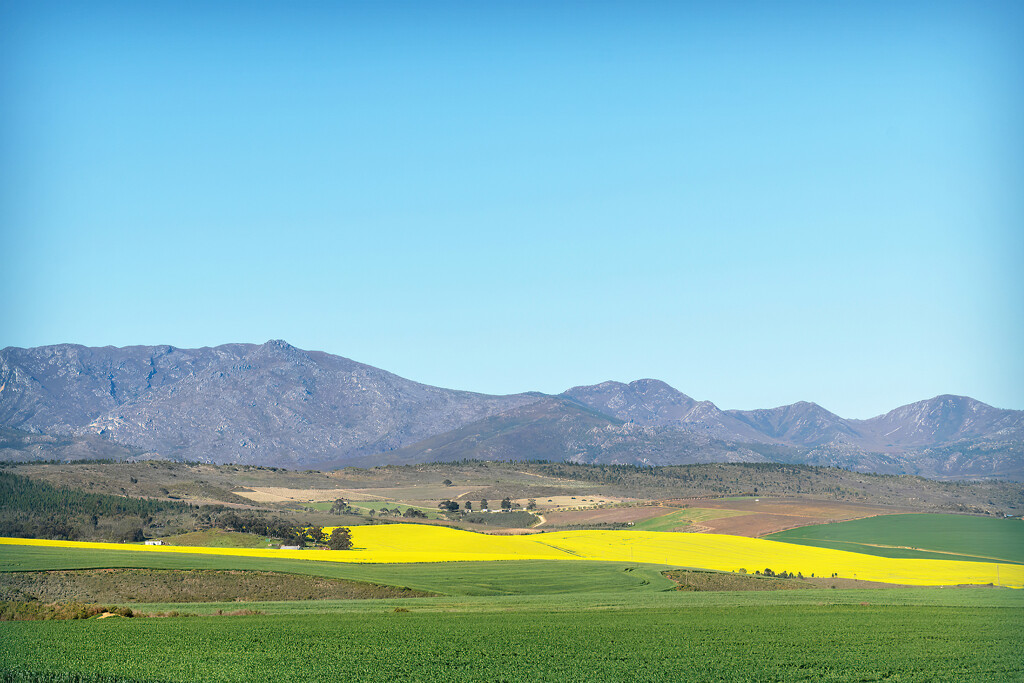 Small farms with large fields by ludwigsdiana