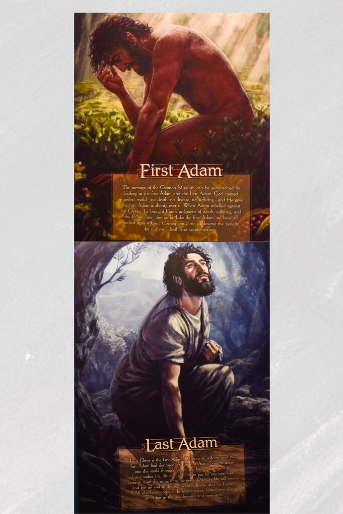 The First And Last Adam by bjywamer