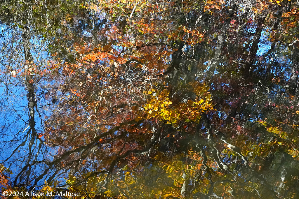 Supply Pond Reflections by falcon11